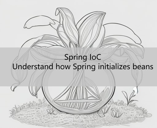 spring ioc